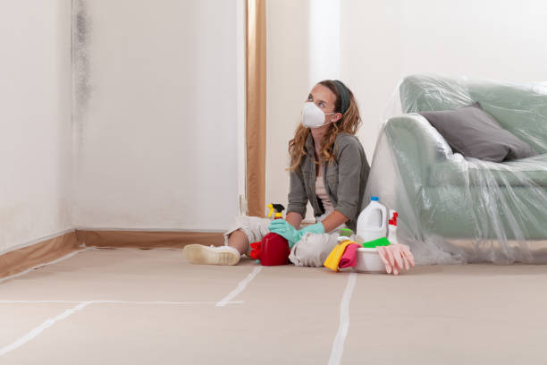 Reliable Mold Testing contractor in Springfield, GA by WQB Mold Removal